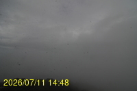 Img20260711_144856.jpg