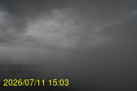 Img20260711_150357.jpg