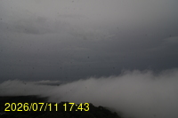 Img20260711_174357.jpg
