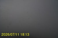 Img20260711_181357.jpg