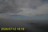 Img20260712_161901.jpg