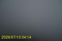Img20260713_041403.jpg