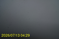Img20260713_042903.jpg