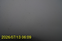 Img20260713_060903.jpg