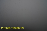 Img20260713_061903.jpg