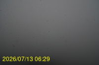Img20260713_062904.jpg