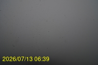 Img20260713_063904.jpg