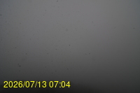 Img20260713_070404.jpg