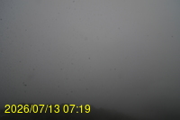 Img20260713_071904.jpg