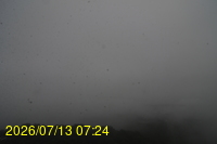 Img20260713_072404.jpg