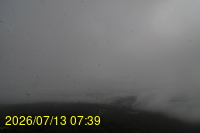 Img20260713_073904.jpg