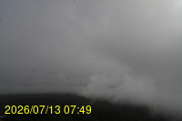 Img20260713_074904.jpg