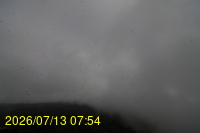 Img20260713_075404.jpg