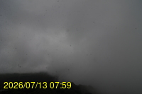 Img20260713_075904.jpg