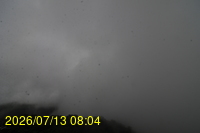 Img20260713_080404.jpg