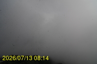 Img20260713_081404.jpg