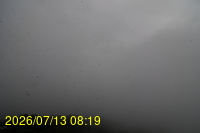 Img20260713_081904.jpg
