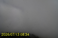 Img20260713_083404.jpg