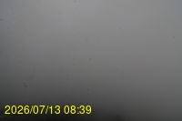 Img20260713_083904.jpg