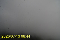 Img20260713_084404.jpg