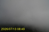 Img20260713_084904.jpg