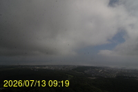 Img20260713_091904.jpg