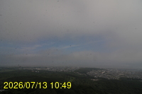 Img20260713_104904.jpg