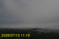Img20260713_111904.jpg