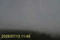 Img20260713_114905.jpg