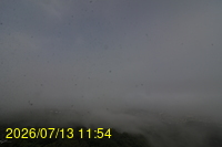 Img20260713_115405.jpg