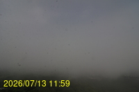 Img20260713_115905.jpg