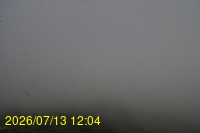 Img20260713_120405.jpg