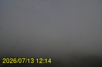 Img20260713_121405.jpg