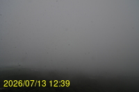 Img20260713_123905.jpg