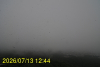 Img20260713_124405.jpg