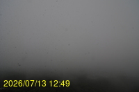 Img20260713_124905.jpg
