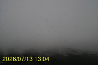 Img20260713_130405.jpg