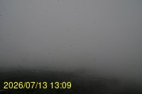 Img20260713_130905.jpg