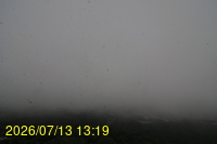 Img20260713_131905.jpg