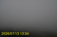 Img20260713_133405.jpg