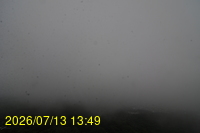 Img20260713_134905.jpg