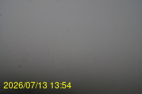 Img20260713_135405.jpg