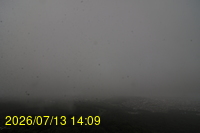 Img20260713_140905.jpg