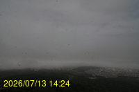 Img20260713_142405.jpg