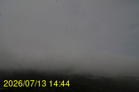 Img20260713_144405.jpg