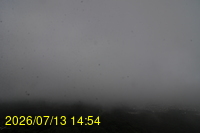 Img20260713_145405.jpg