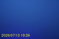 Img20260713_193906.jpg