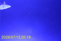 Img20260713_201906.jpg
