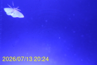 Img20260713_202406.jpg