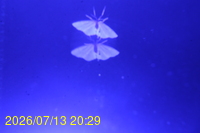 Img20260713_202906.jpg
